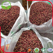 2016 Harvest Special Spice / Ceniza espinosa china / Pimienta roja China